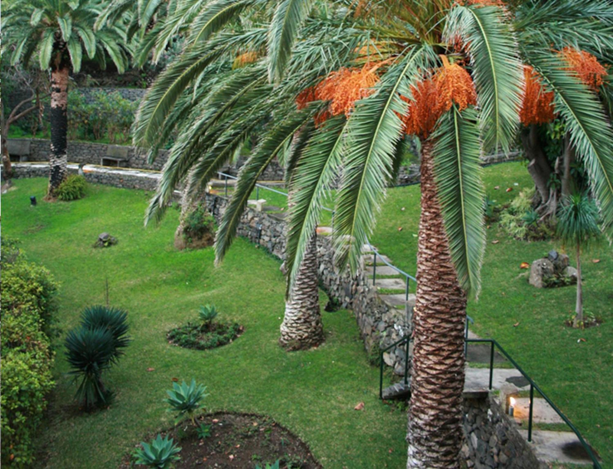 Dom Pedro Madeira Hotel Machico  Exterior photo